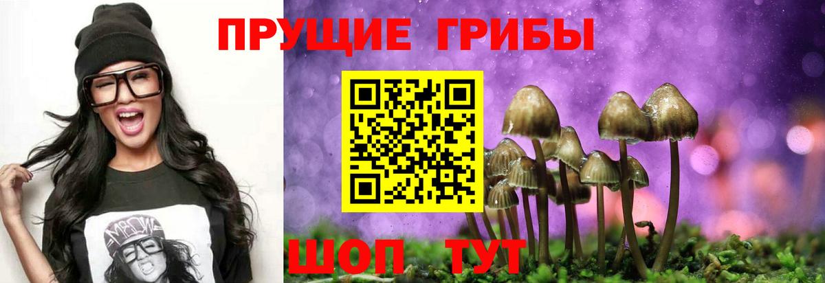 Галлюциногенные грибы ЛСД Рязань